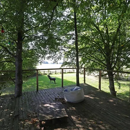 Domaine Manoir Le Chene Bed & Breakfast Saint-Ouen-de-la-Cour